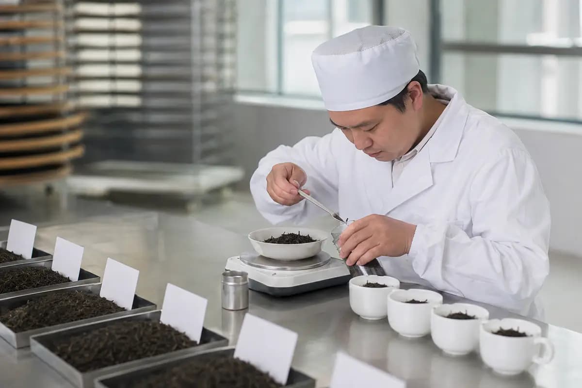 Technician inspecting and weighing black tea samples